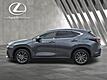 2025 Lexus NX 250 Premium