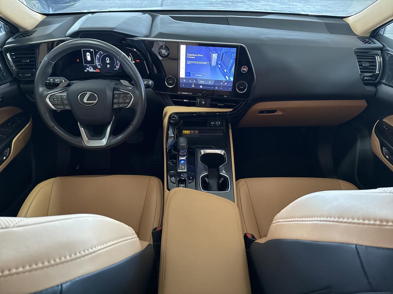 2025 Lexus NX 250 Premium San Antonio TX