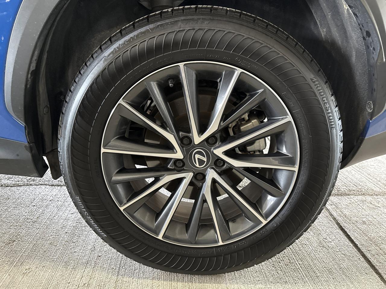 2025 Lexus NX 250 Premium San Antonio TX