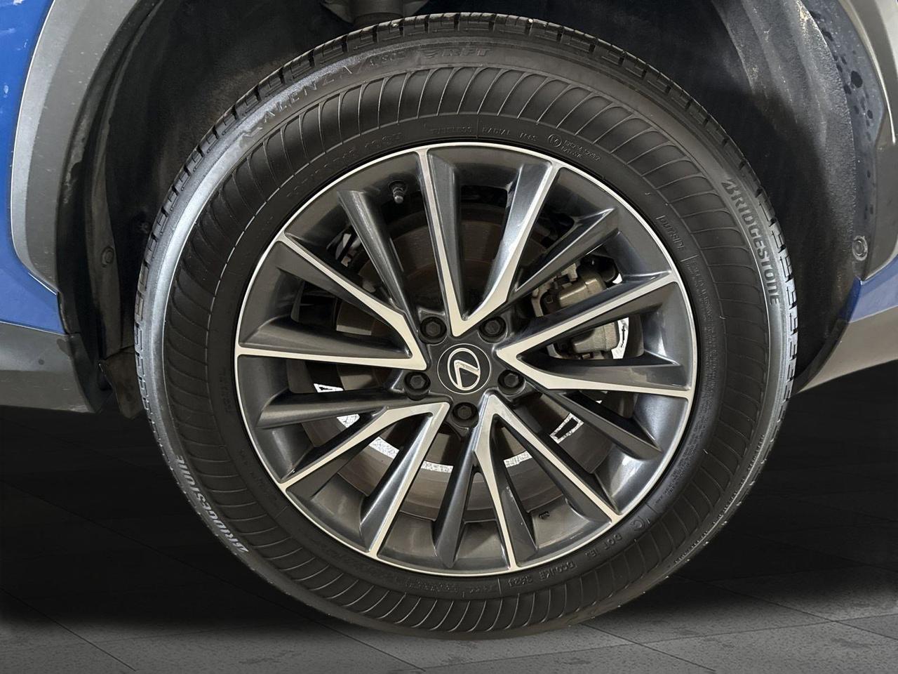 2025 Lexus NX 250 Premium San Antonio TX