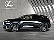 2025 Lexus NX 250 Premium