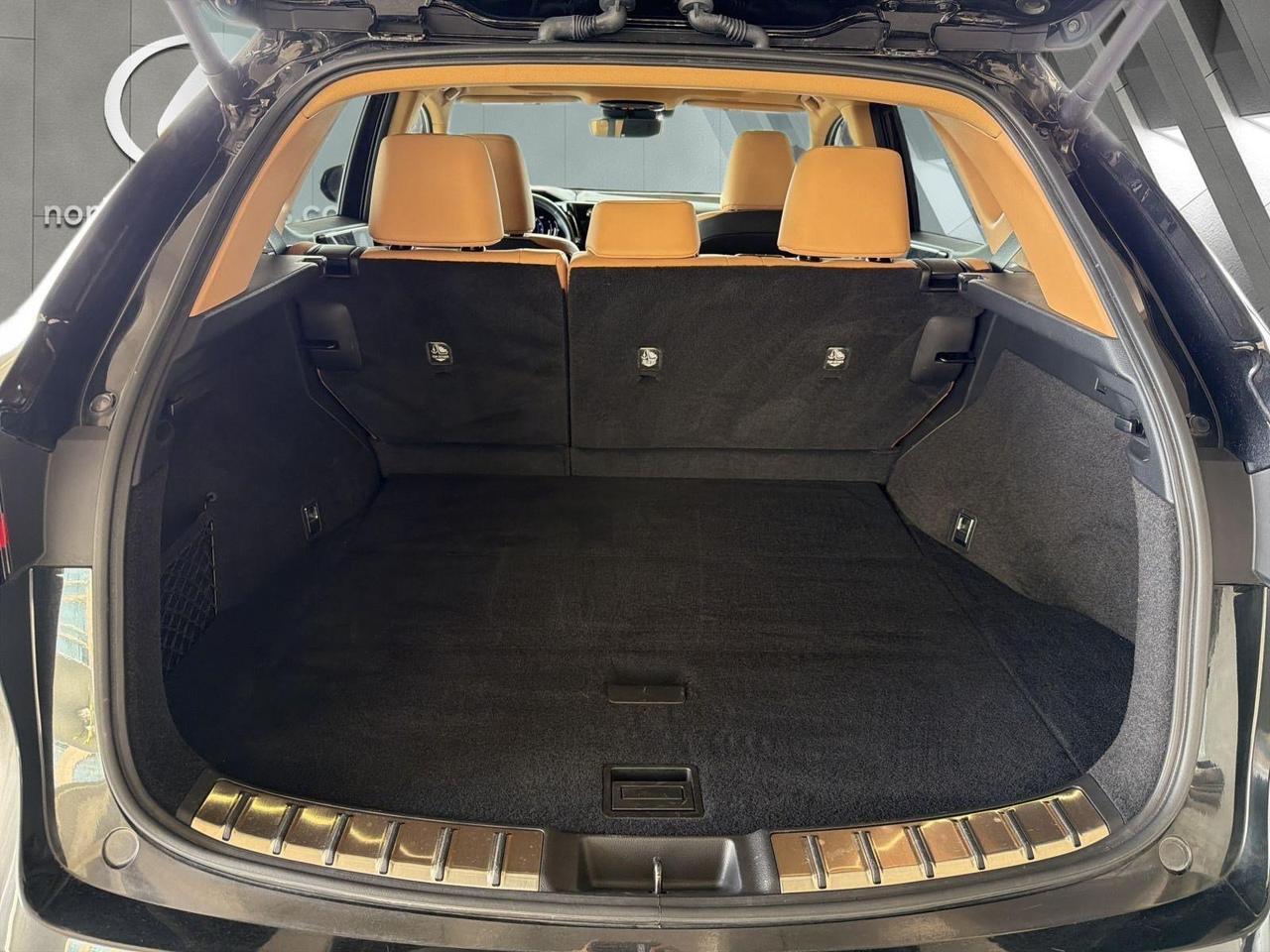 2025 Lexus NX 250 Premium San Antonio TX