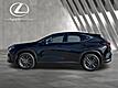 2025 Lexus NX 250 Premium