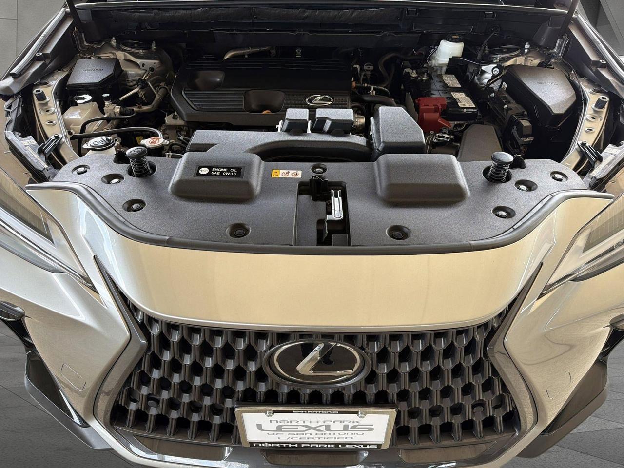 2025 Lexus NX 250 Premium San Antonio TX