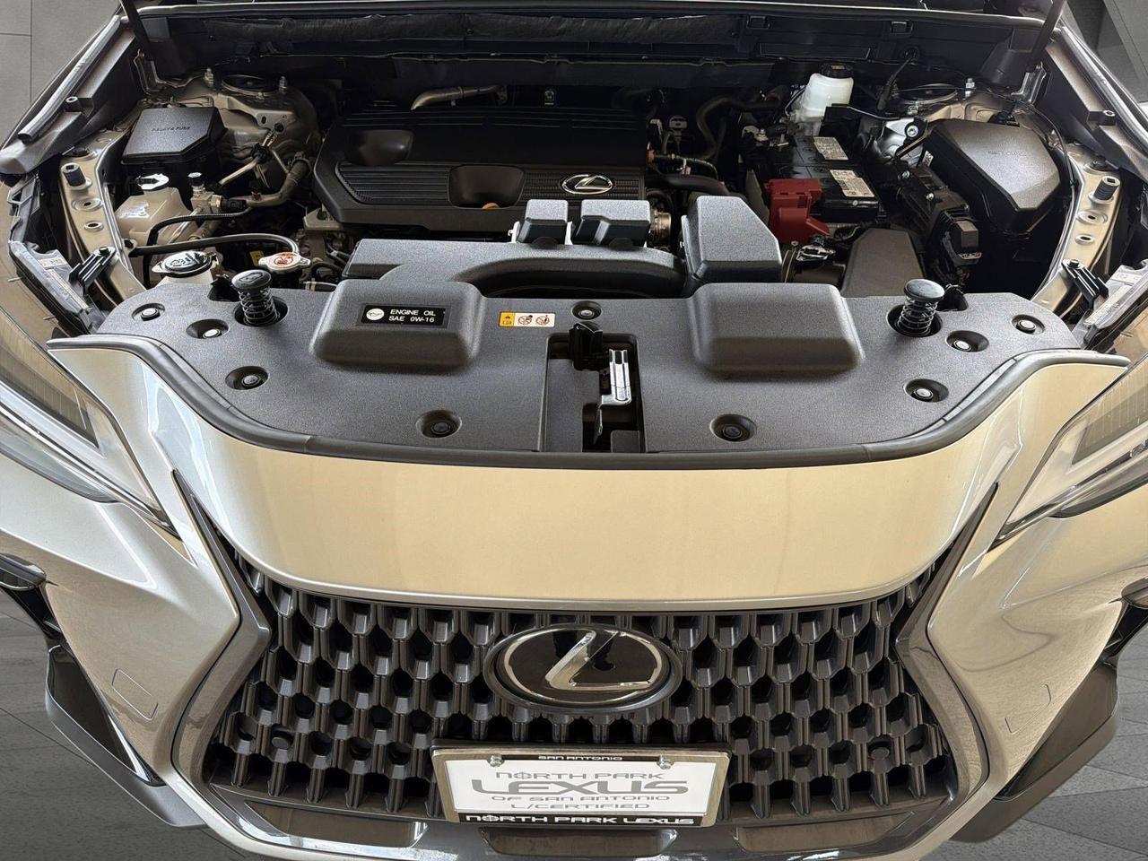 2025 Lexus NX 250 Premium San Antonio TX