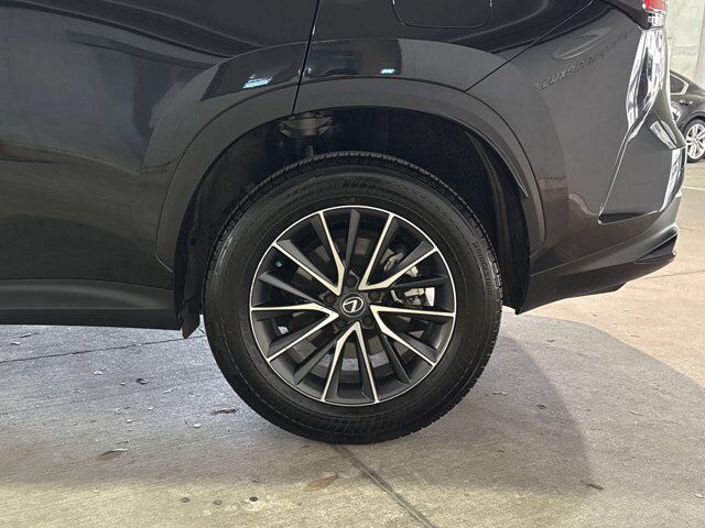2025 Lexus NX 250 Premium San Antonio TX