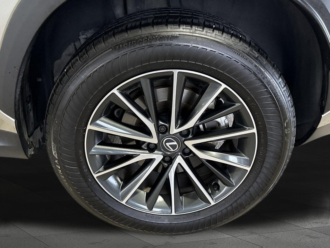 2025 Lexus NX 250 Premium San Antonio TX