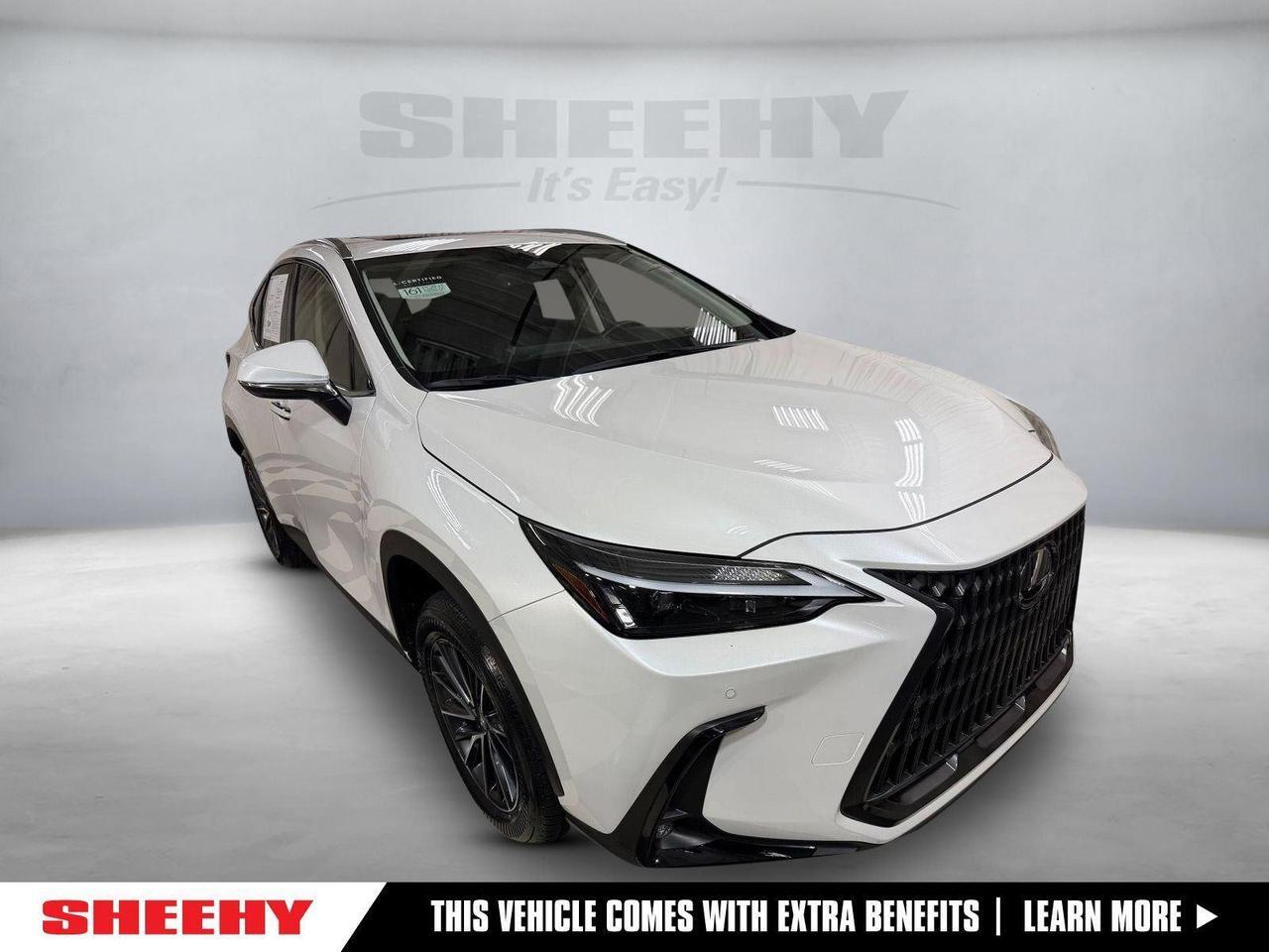 2025 Lexus NX