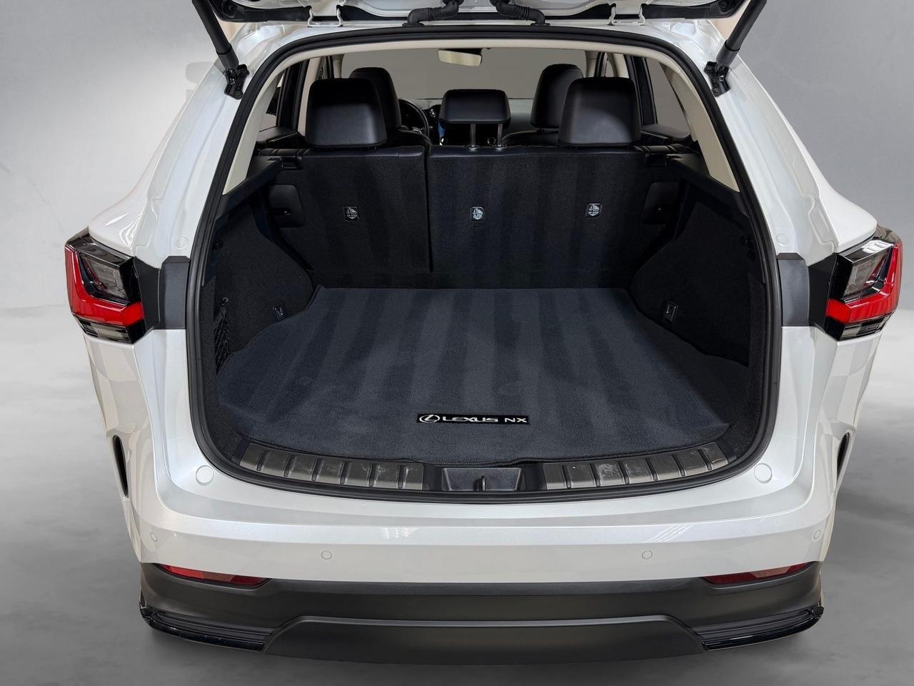 2025 Lexus NX 250 Premium Annapolis MD