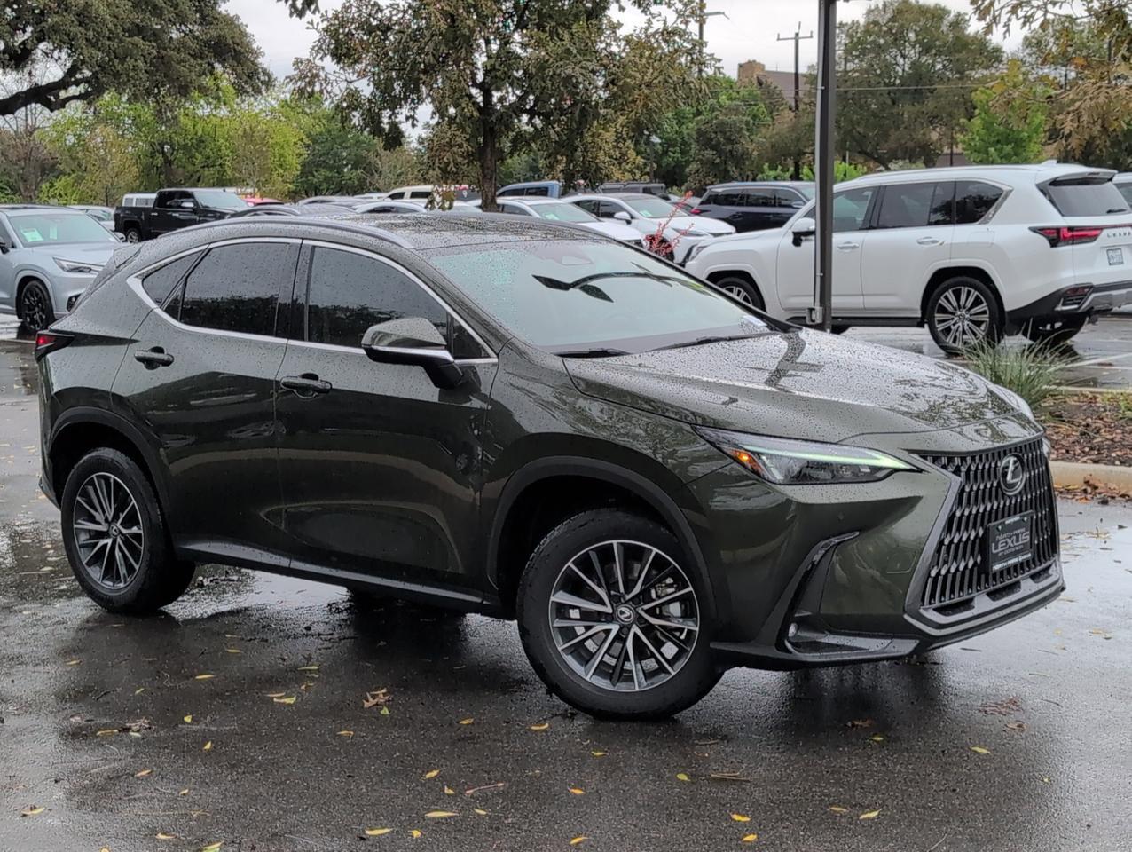 2025 Lexus NX
