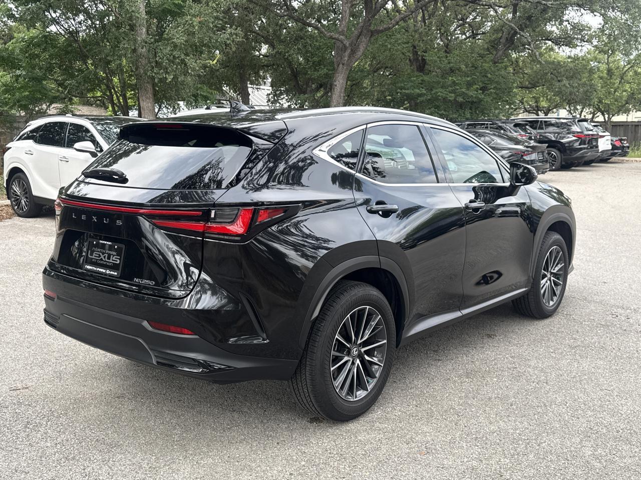 2025 Lexus NX 250