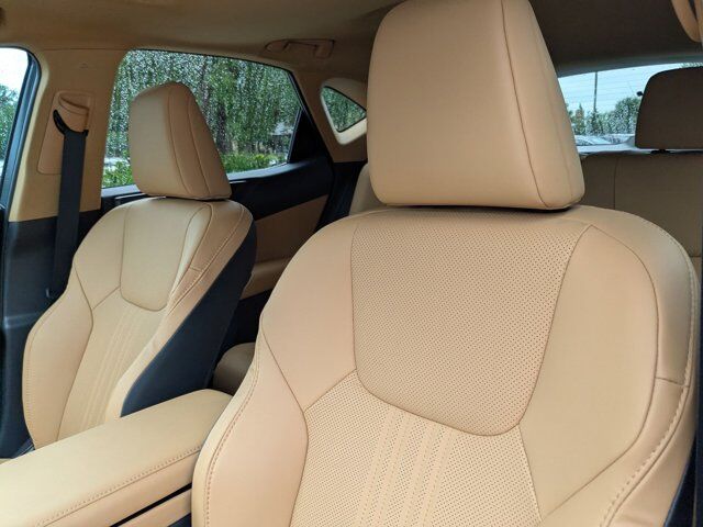 2025 Lexus NX 250 San Antonio TX