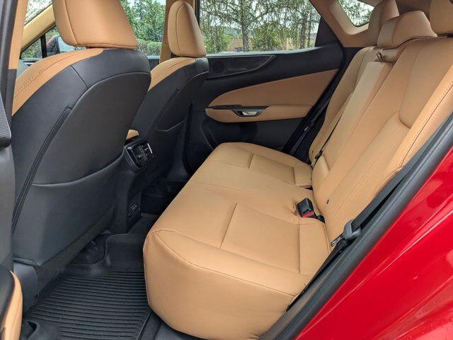2025 Lexus NX 250 San Antonio TX