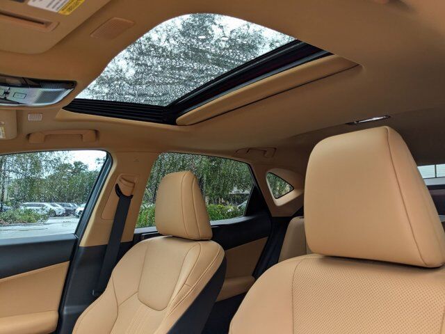 2025 Lexus NX 250 San Antonio TX