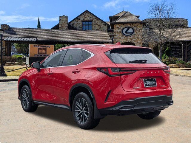 2025 Lexus NX 250 San Antonio TX