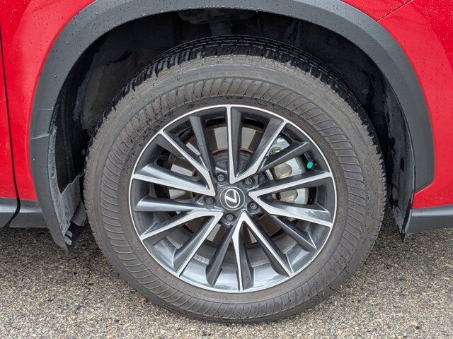 2025 Lexus NX 250 San Antonio TX
