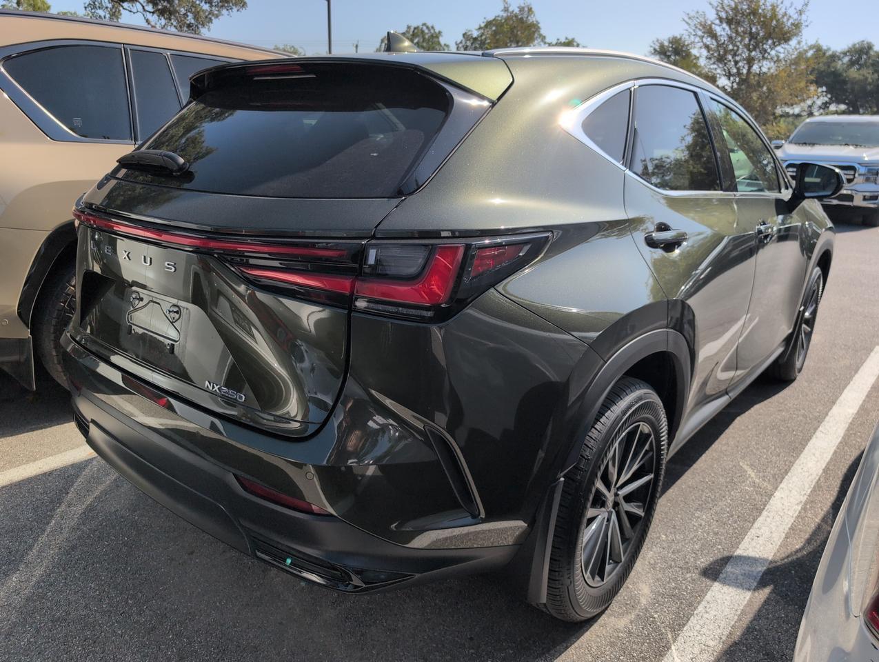 2025 Lexus NX 250