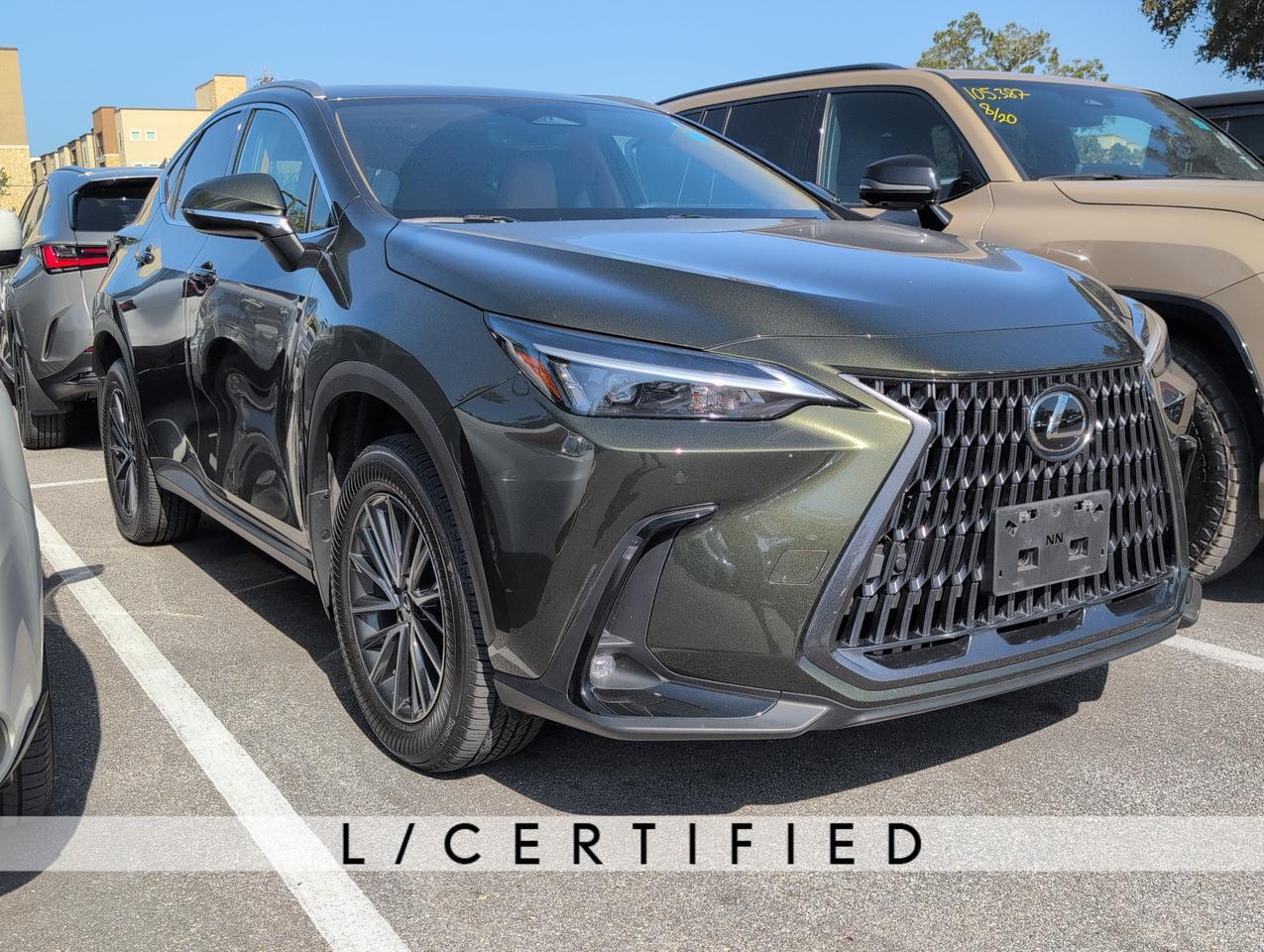 2025 Lexus NX 250