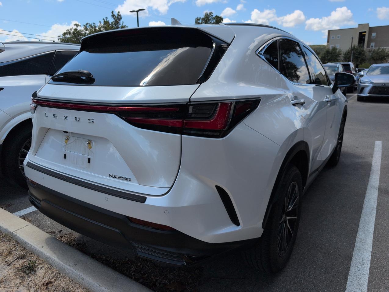 2025 Lexus NX 250