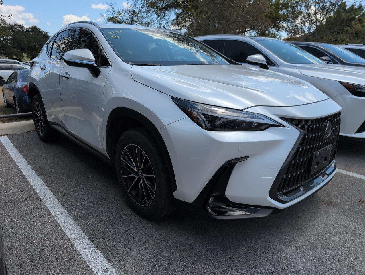2025 Lexus NX 250