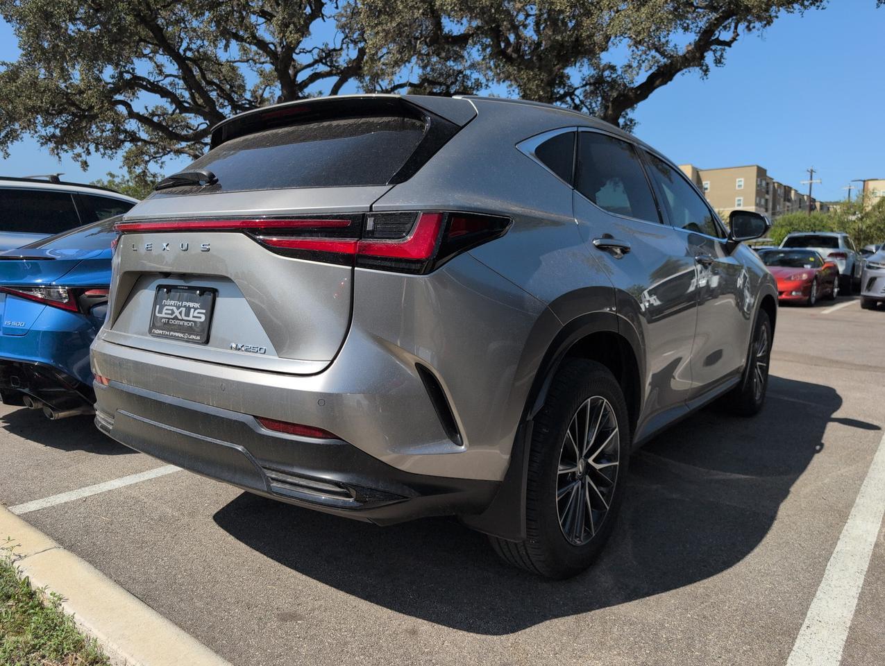 2025 Lexus NX 250