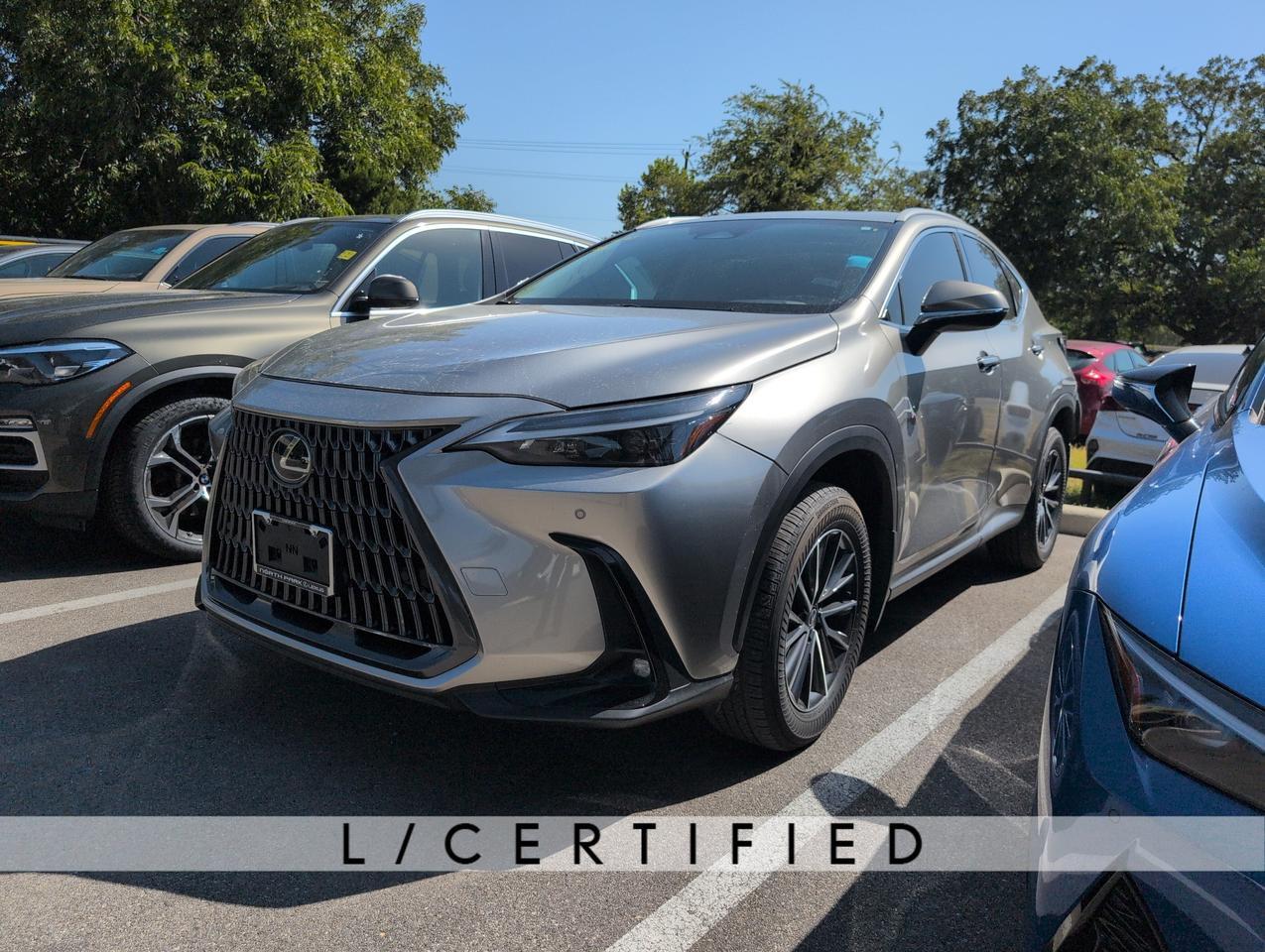 2025 Lexus NX