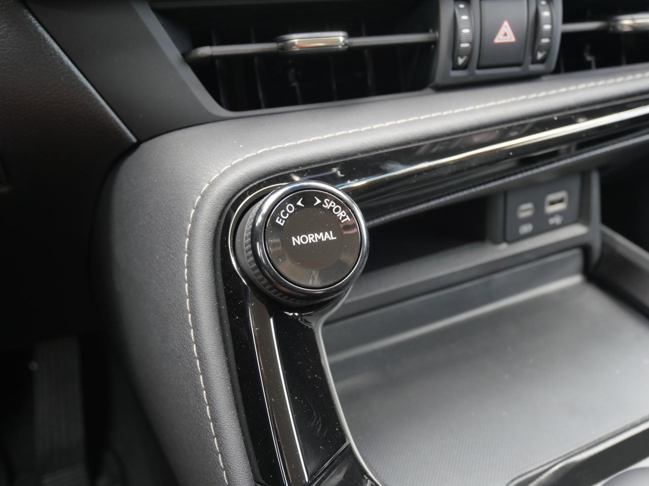 2025 Lexus NX 250 San Juan TX