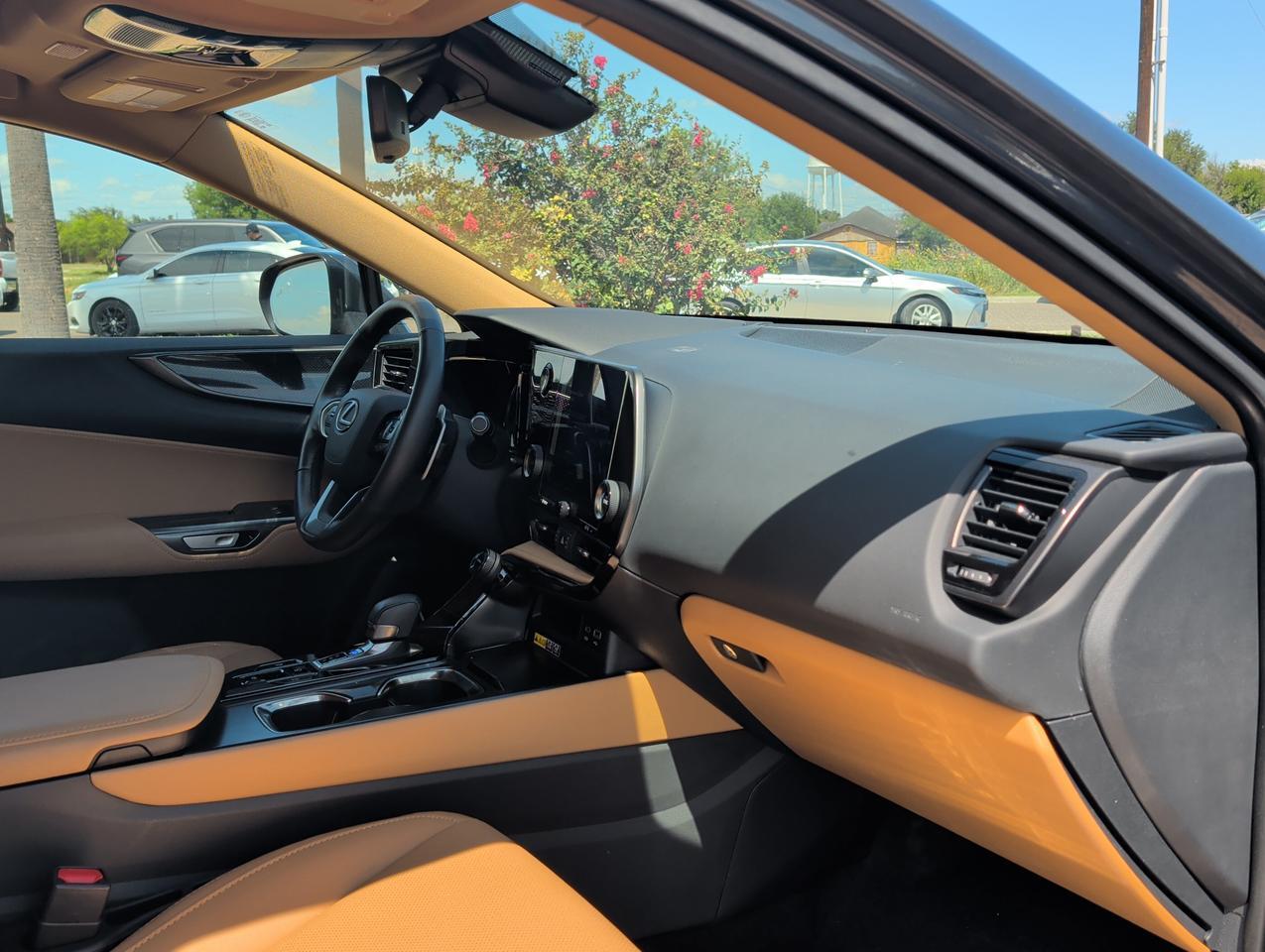 2025 Lexus NX 250 San Juan TX