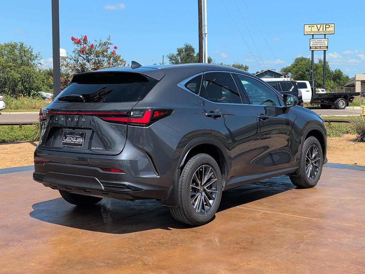 2025 Lexus NX 250