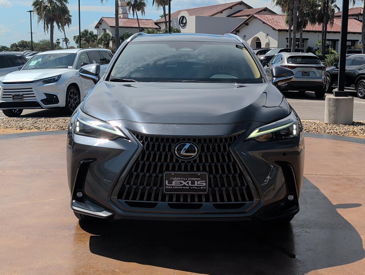 2025 Lexus NX 250 San Juan TX