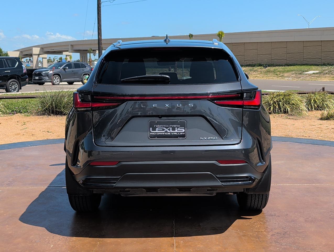2025 Lexus NX 250