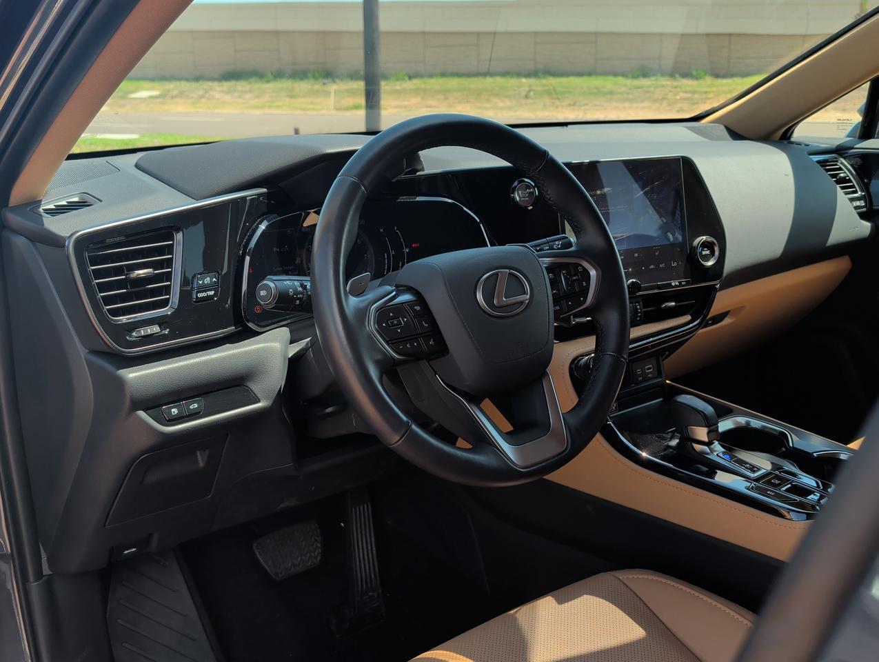 2025 Lexus NX 250 San Juan TX
