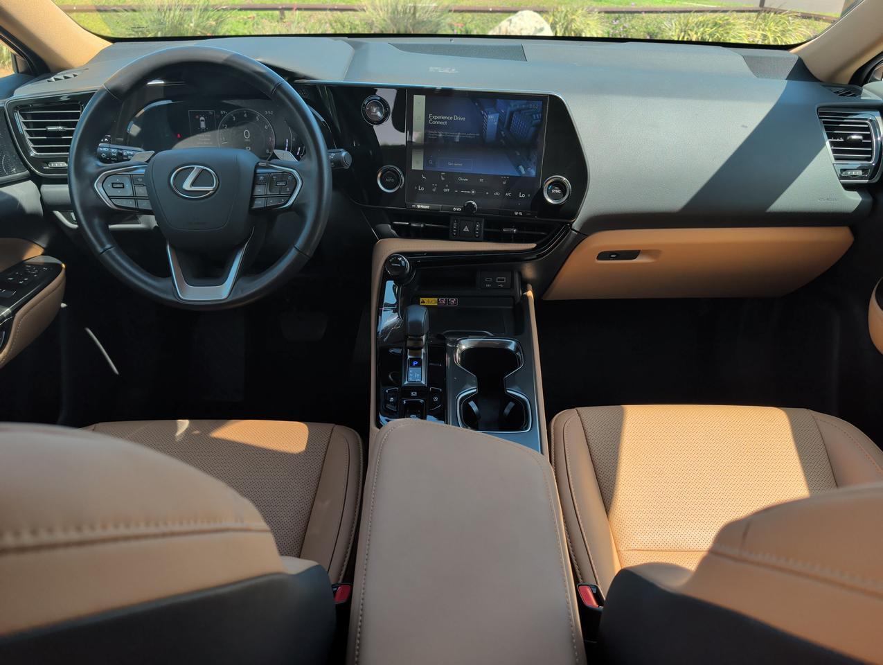 2025 Lexus NX 250 San Juan TX
