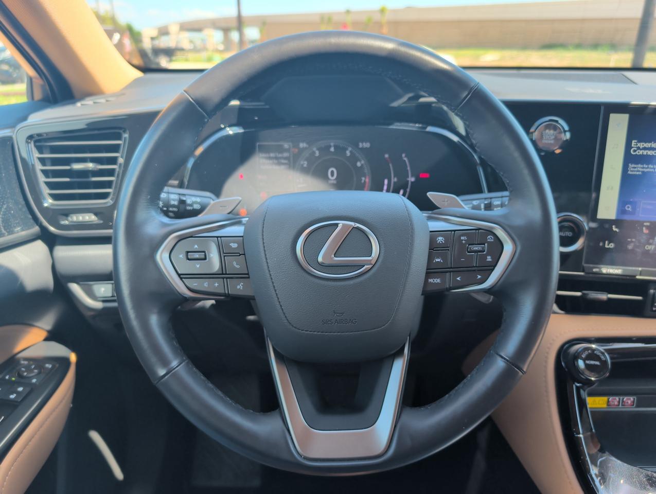 2025 Lexus NX 250 San Juan TX