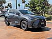 2025 Lexus NX 250