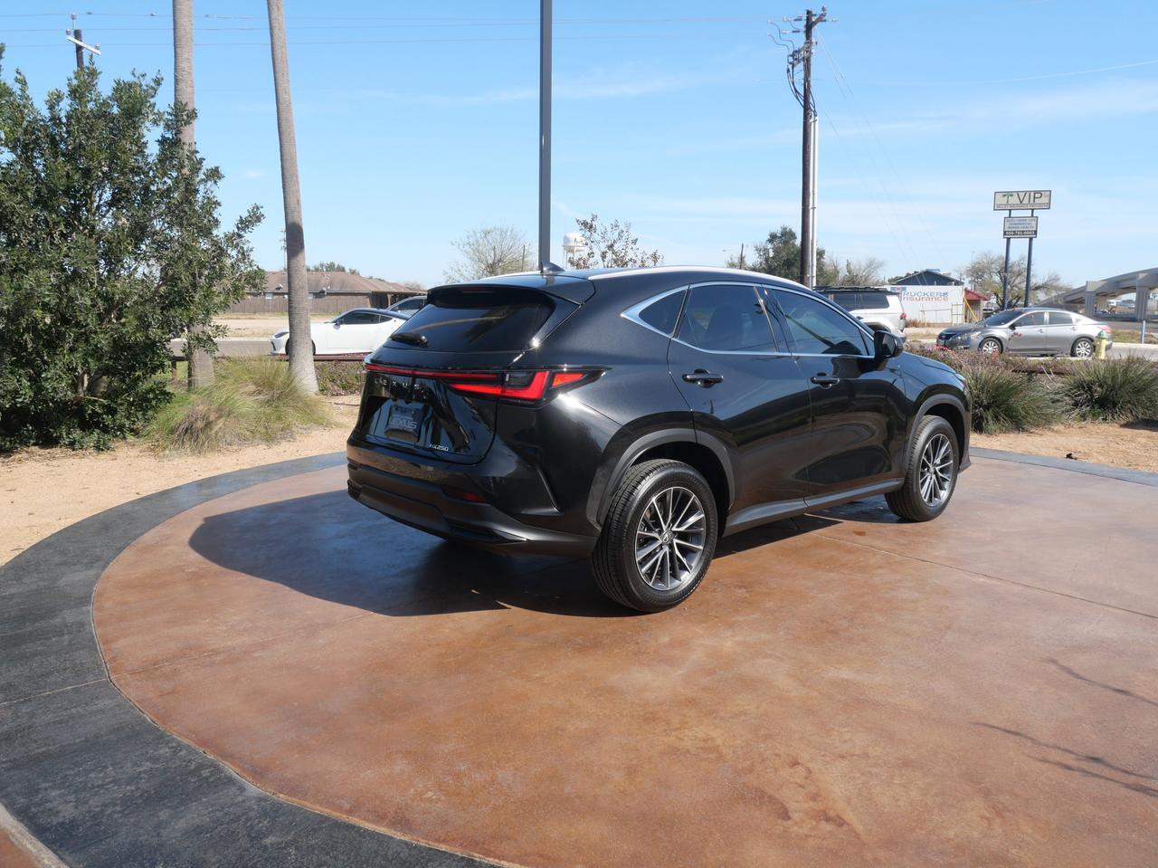 2025 Lexus NX 250