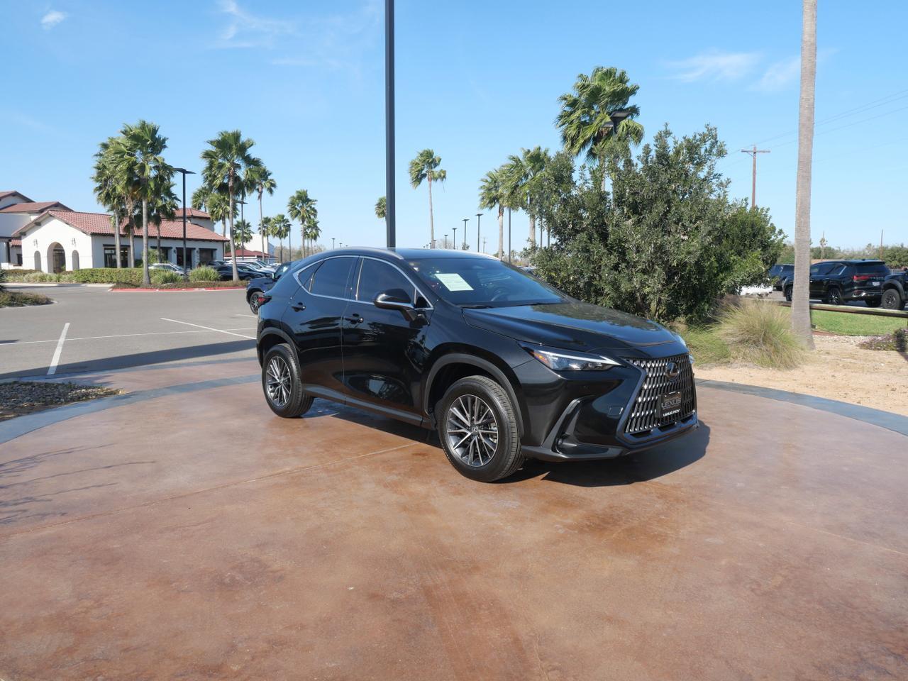 2025 Lexus NX 250