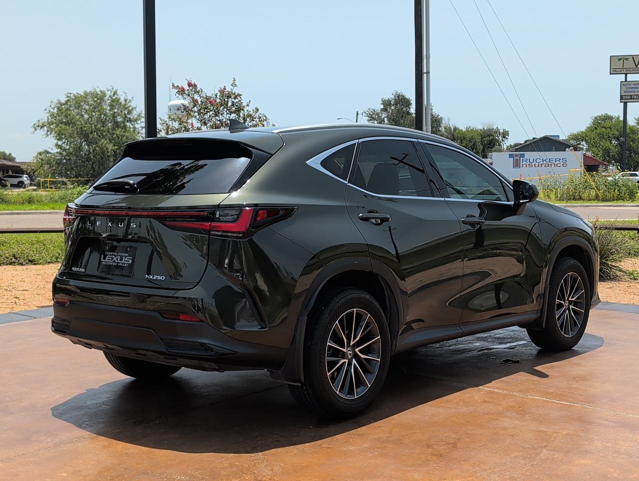 2025 Lexus NX 250