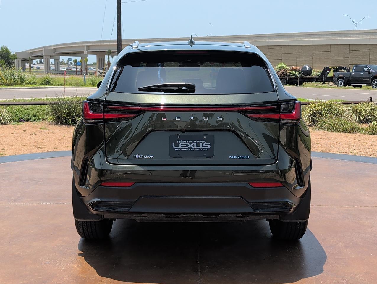 2025 Lexus NX 250