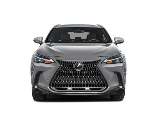 2025 Lexus NX 250 San Juan TX