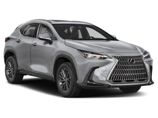 2025 Lexus NX 250 San Juan TX
