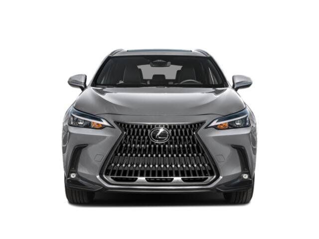 2025 Lexus NX 250 San Juan TX