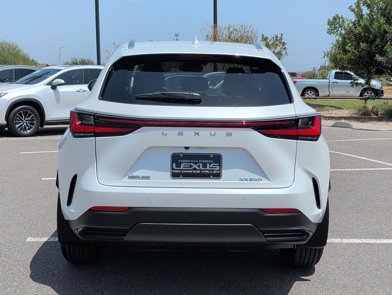 2025 Lexus NX 250