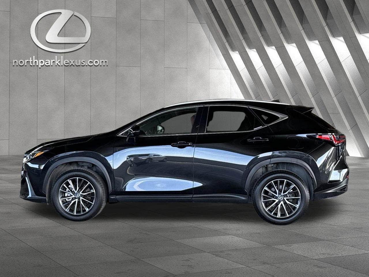 2025 Lexus NX 250
