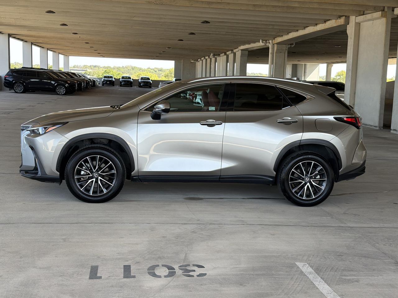 2025 Lexus NX 250
