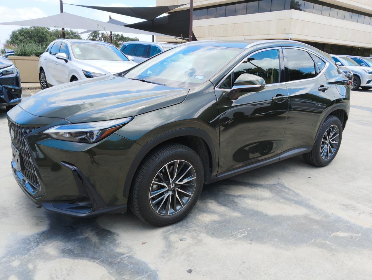 2025 Lexus NX 250