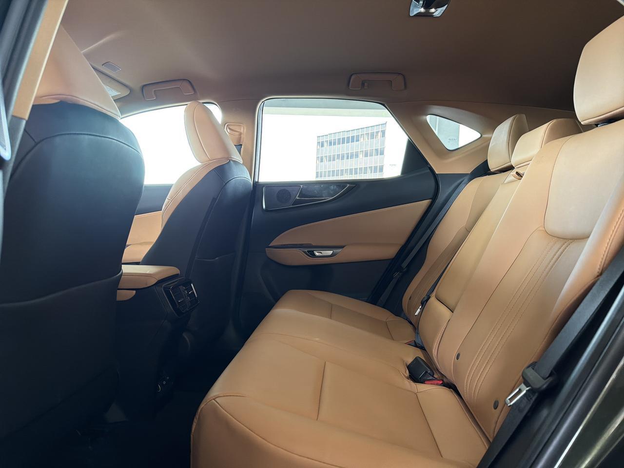 2025 Lexus NX 250