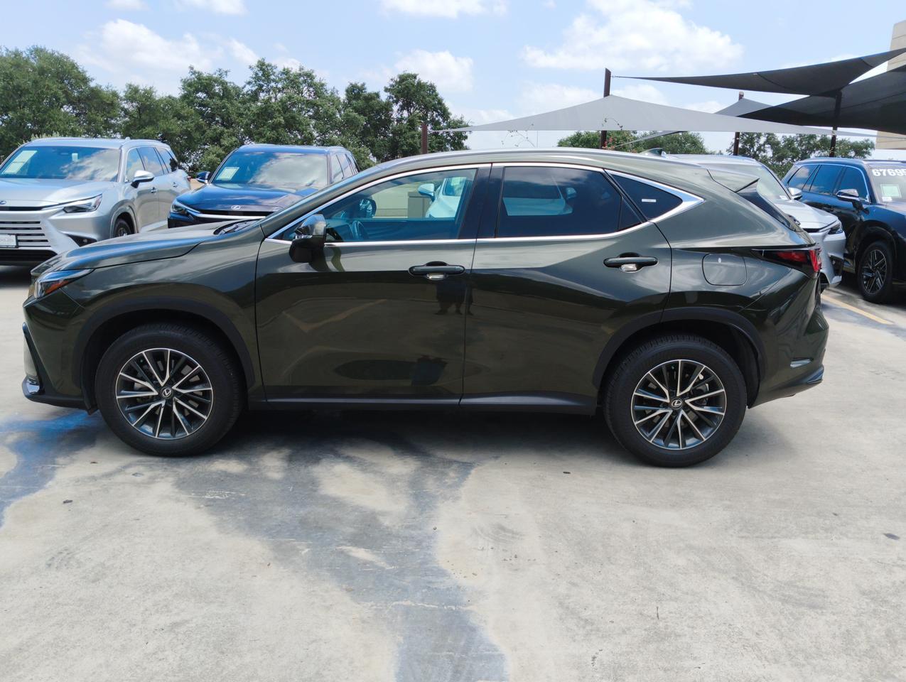 2025 Lexus NX 250
