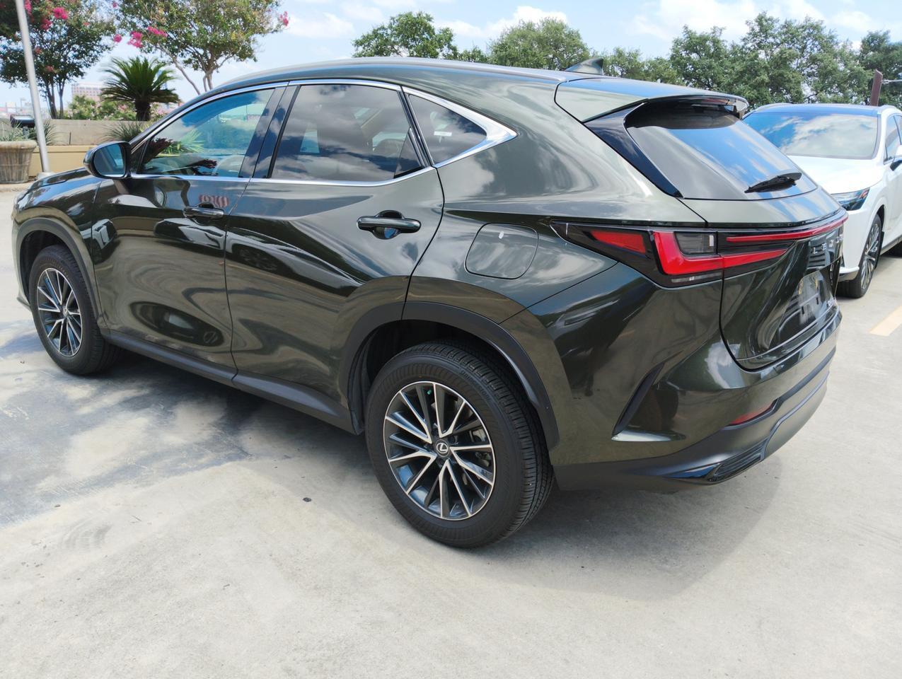 2025 Lexus NX 250