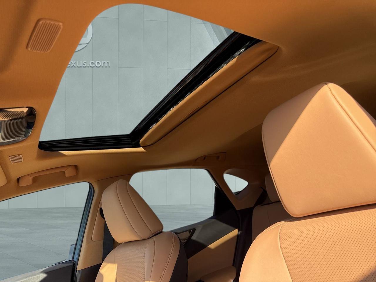 2025 Lexus NX 250 San Antonio TX